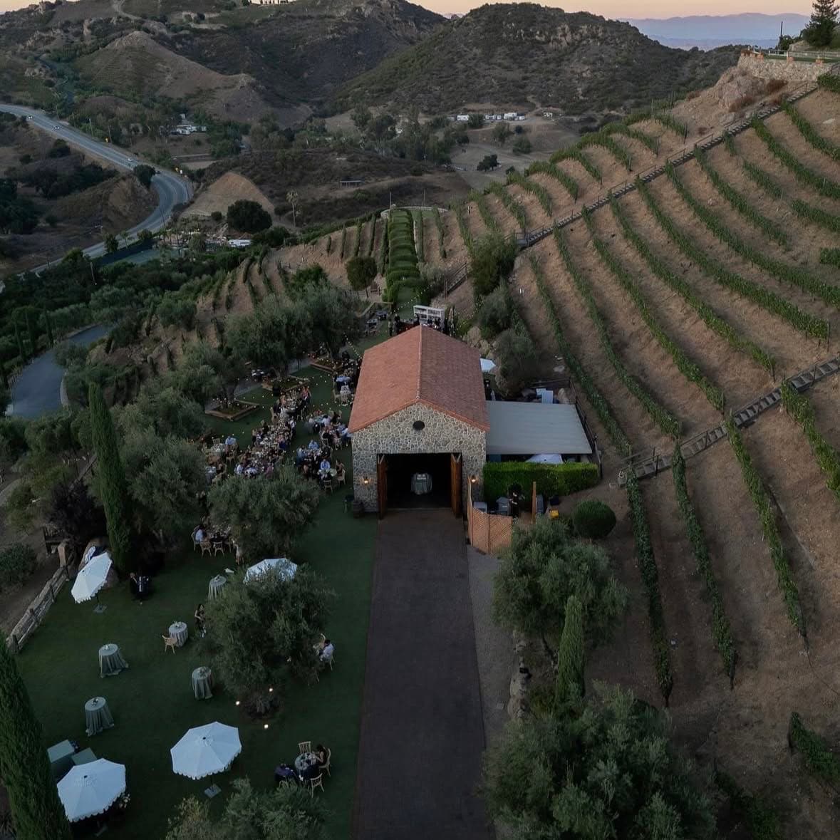 Cielo Farms portfolio 6