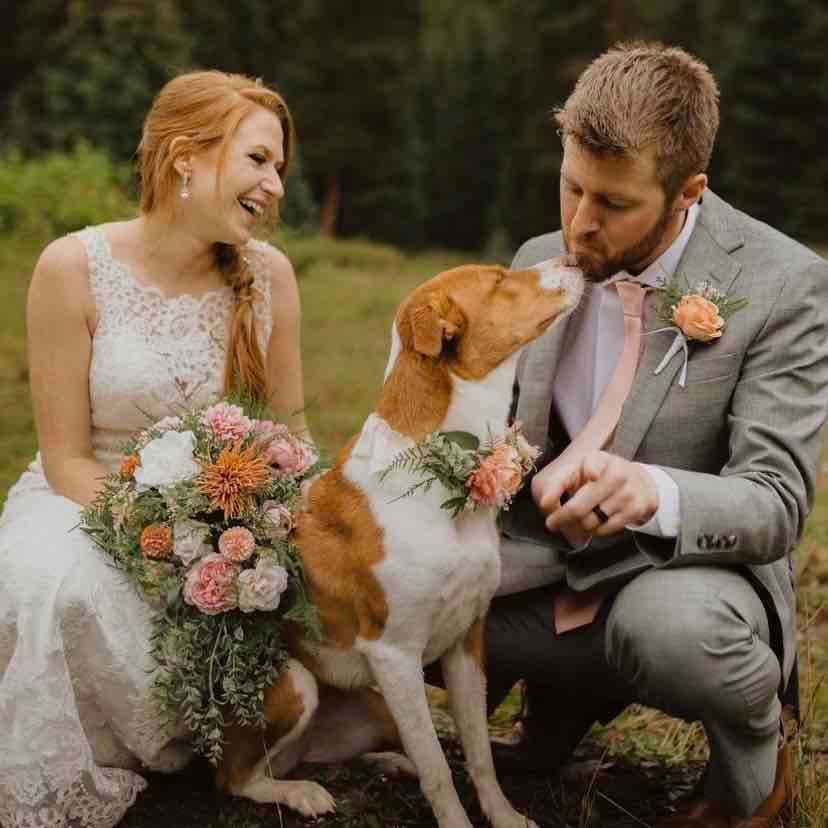 Buck Spring Gap Overlook Elopement 3