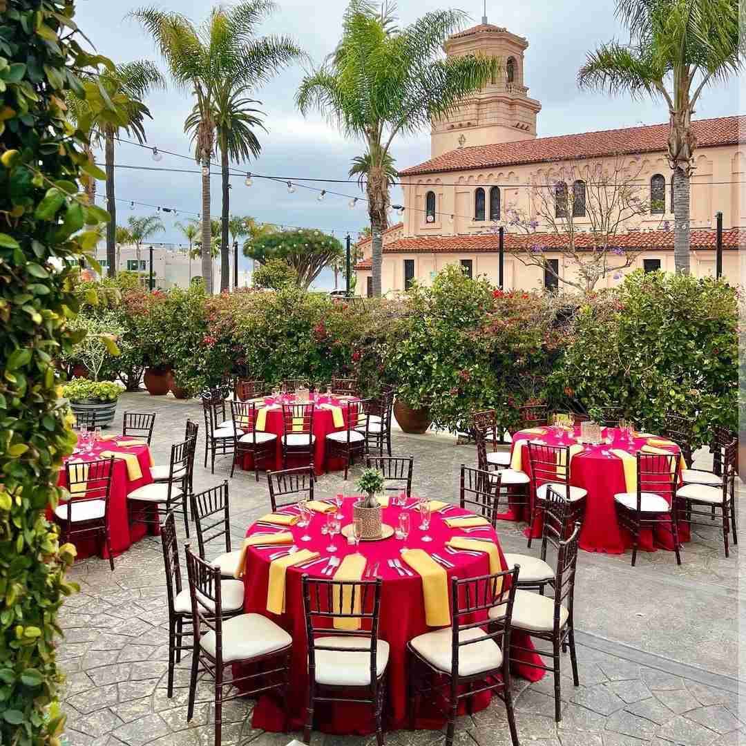 The Cuvier Club  portfolio 4