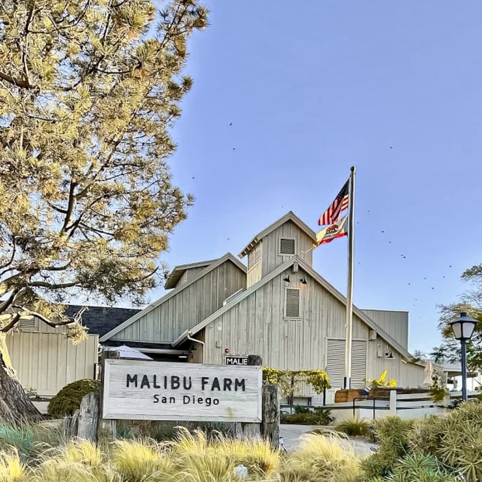 Malibu Farm portfolio 5