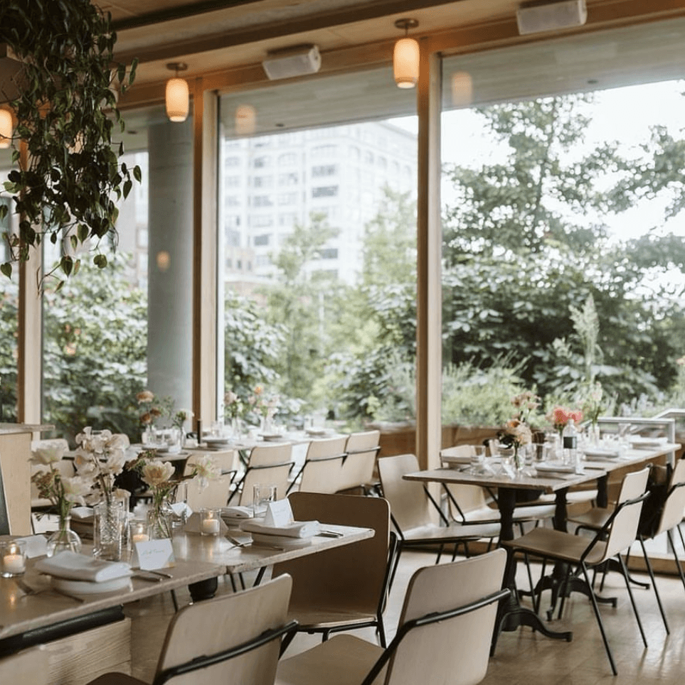 Celestine portfolio 2