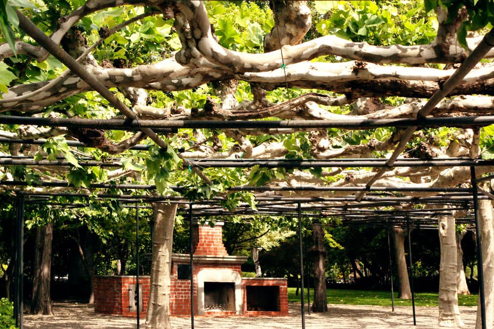 The Arbor
