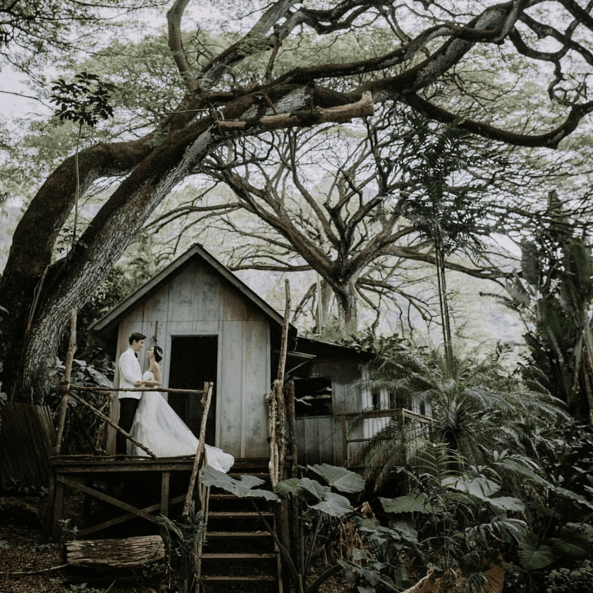Kualoa Private Nature Reserve portfolio 5