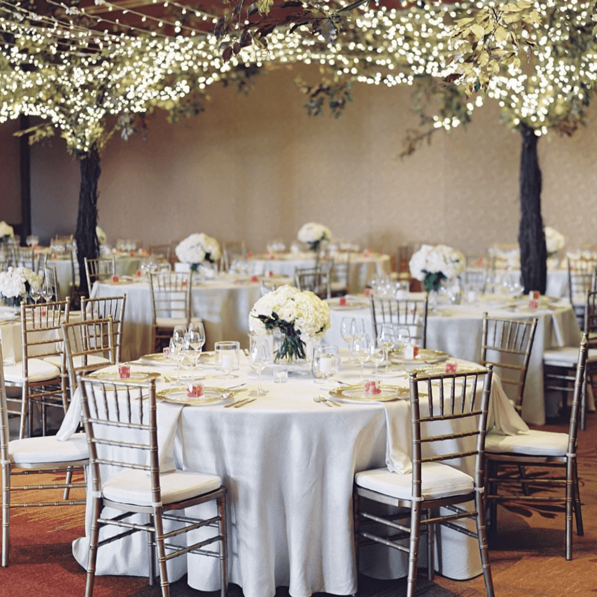 Ritz Carlton portfolio 5