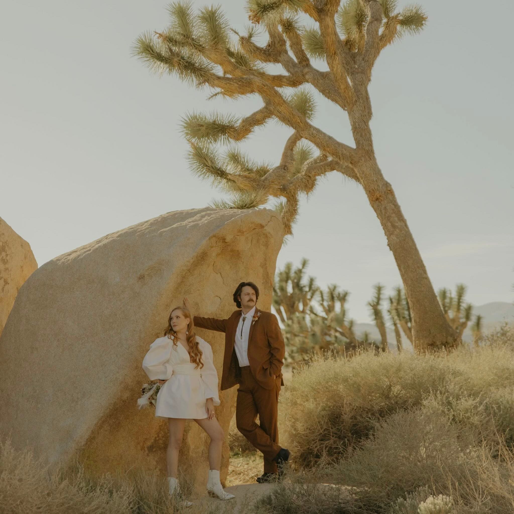 Abby & Josiah’s Chic Desert Elopement✨ portfolio 2