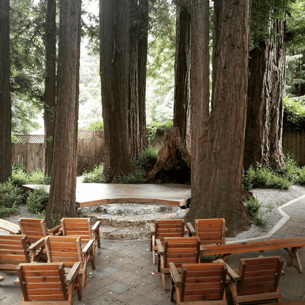 Felton Guild portfolio 5