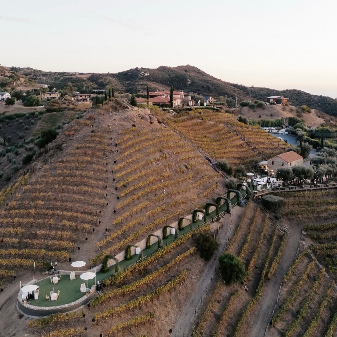 Cielo Farms