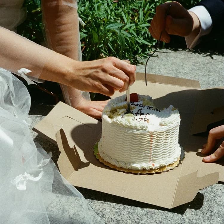 Camcorder Party Interview