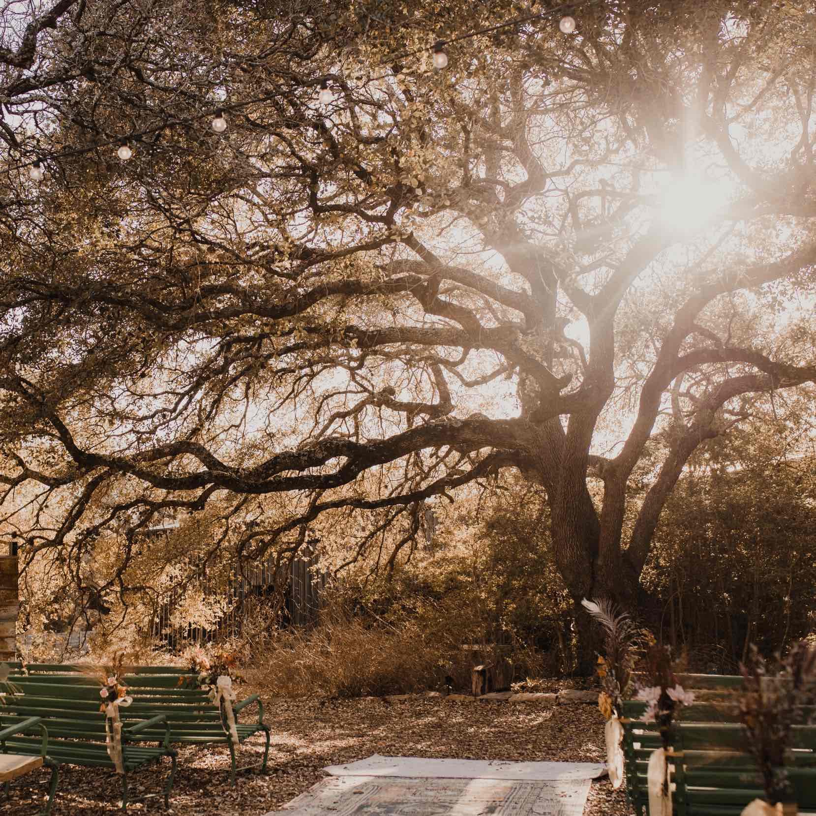 Rambling Rose Ranch portfolio 4