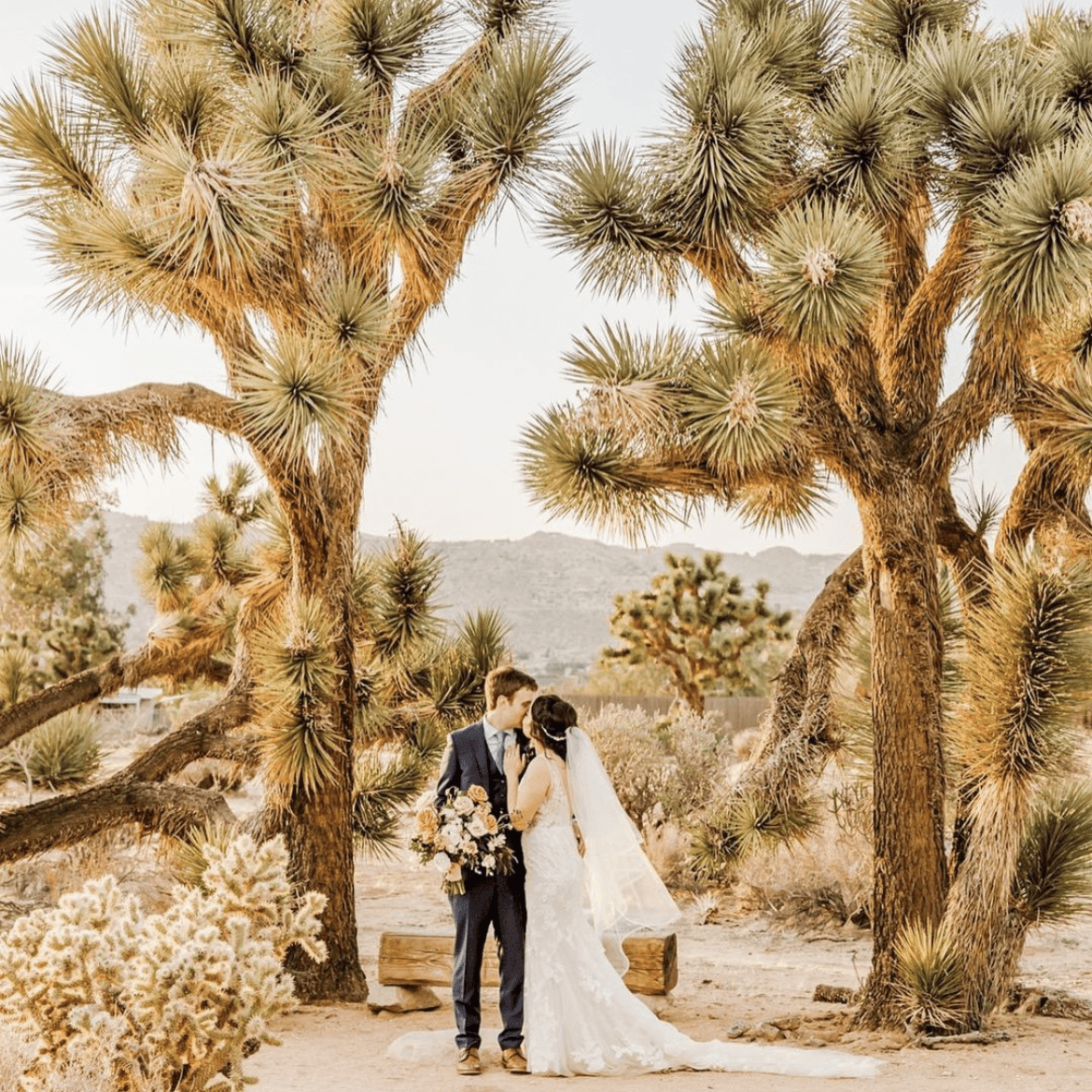 Tumbleweed Sanctuary
