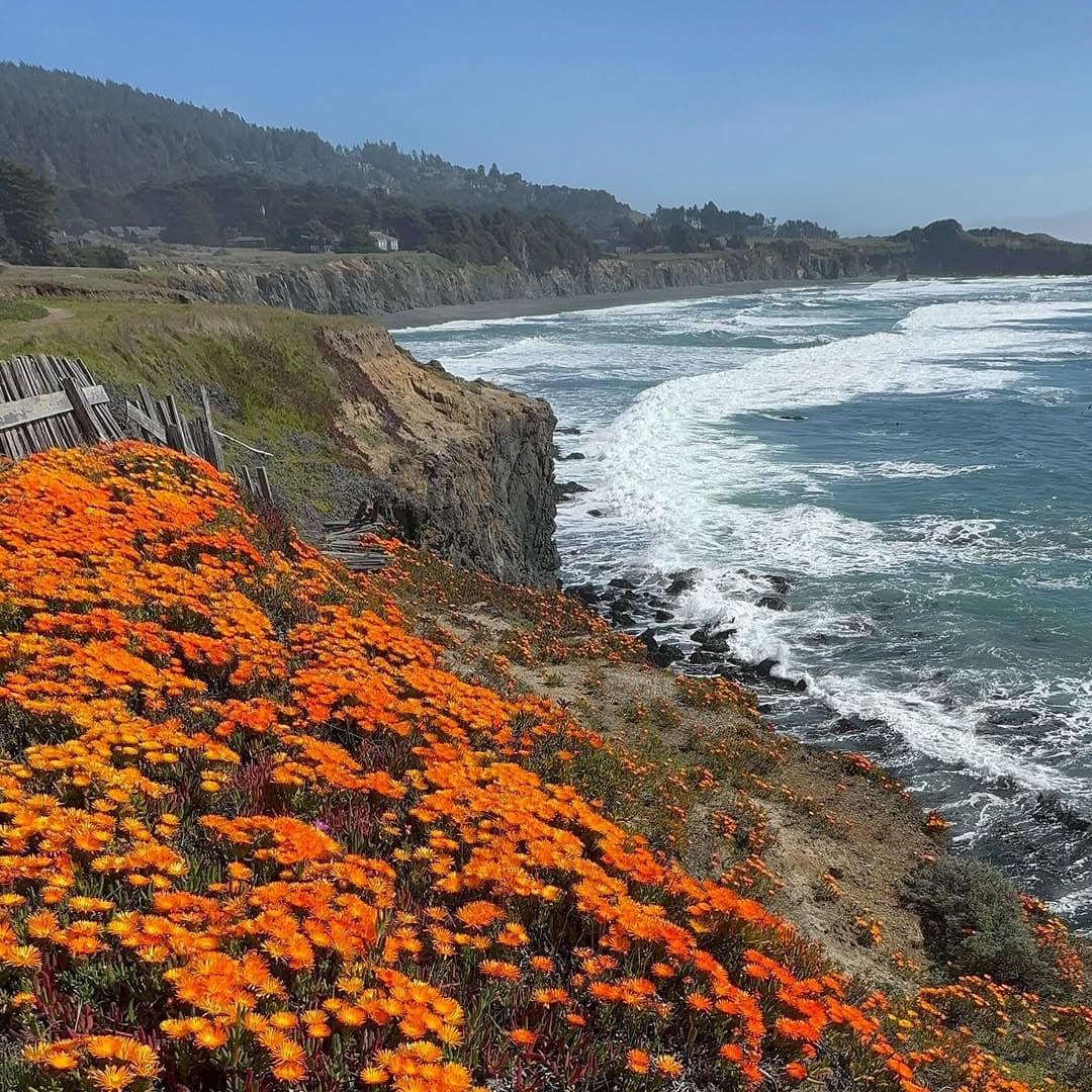 Mendocino Stone Ranch portfolio 5