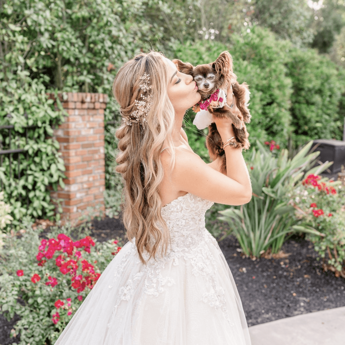 Status Salon portfolio 2