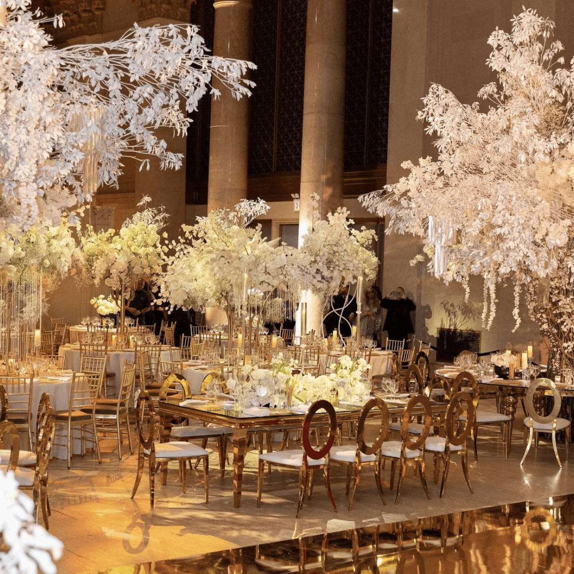 Cipriani Wall Street portfolio 2