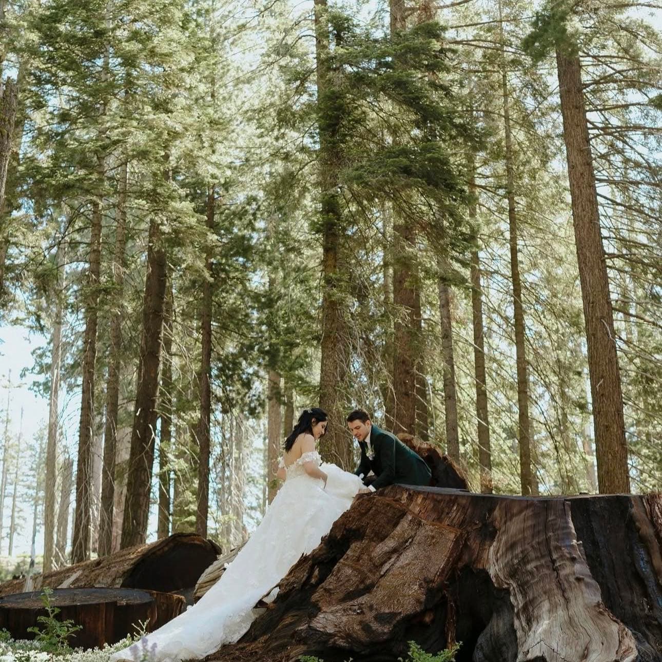 Julia Mina Photography portfolio 4