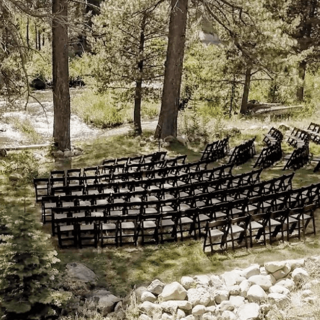 Dancing Pines portfolio 2