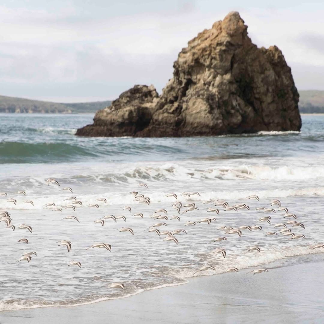The Lodge at Bodega Bay portfolio 5