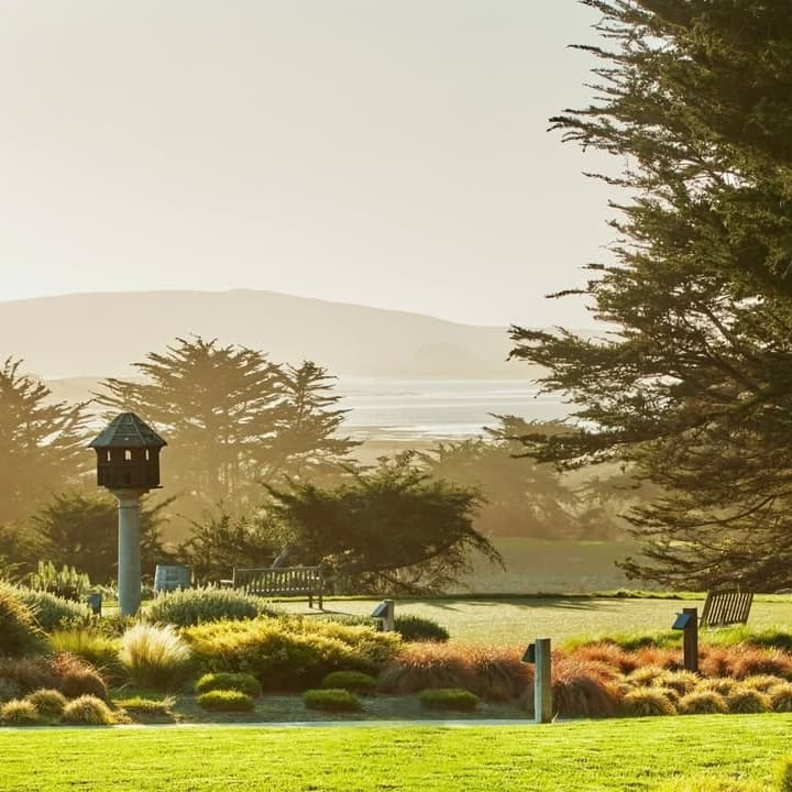 The Lodge at Bodega Bay