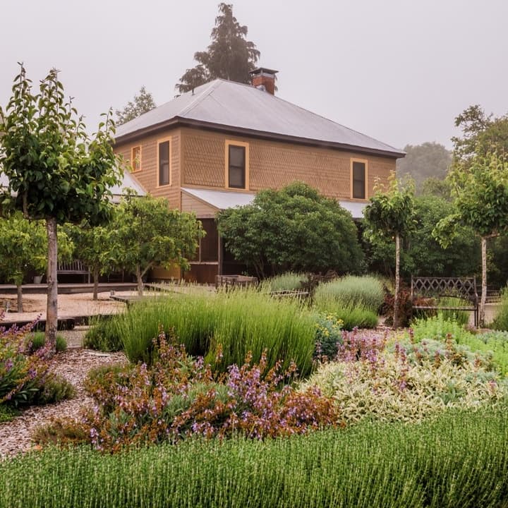 Whispertree portfolio 5