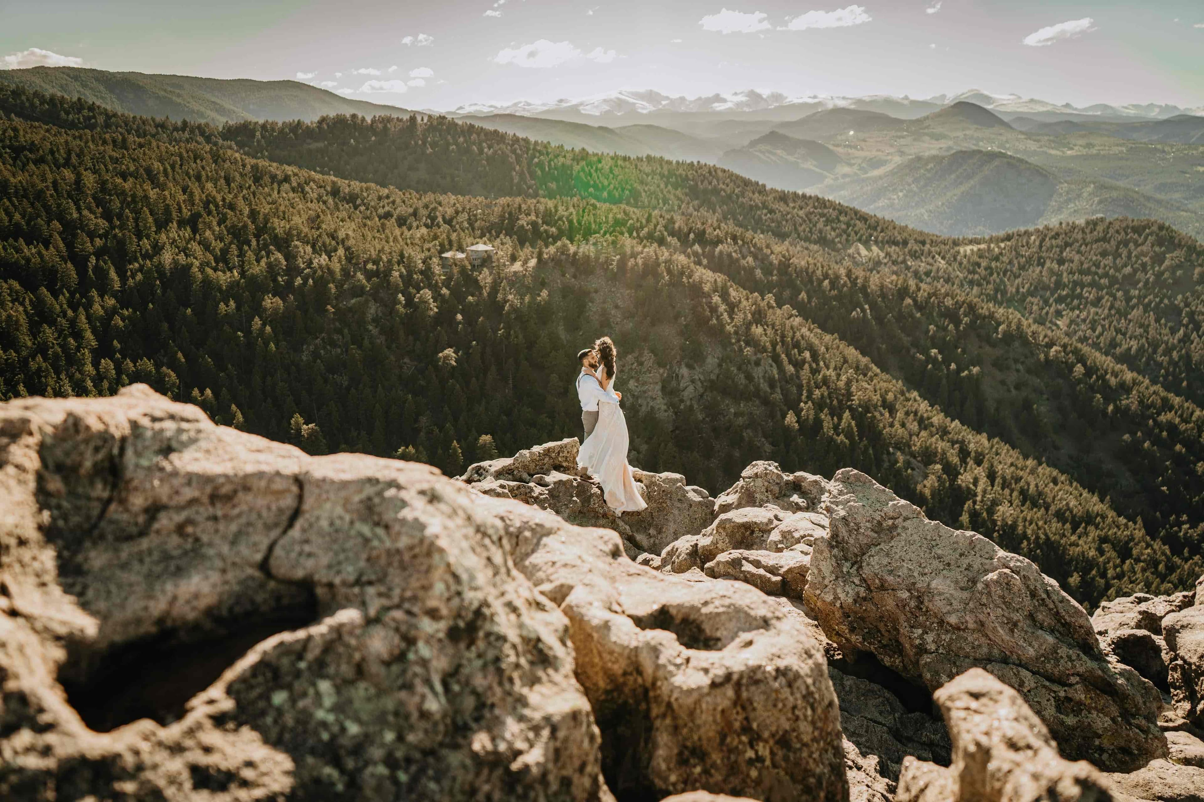 Wild and Wired Photography
