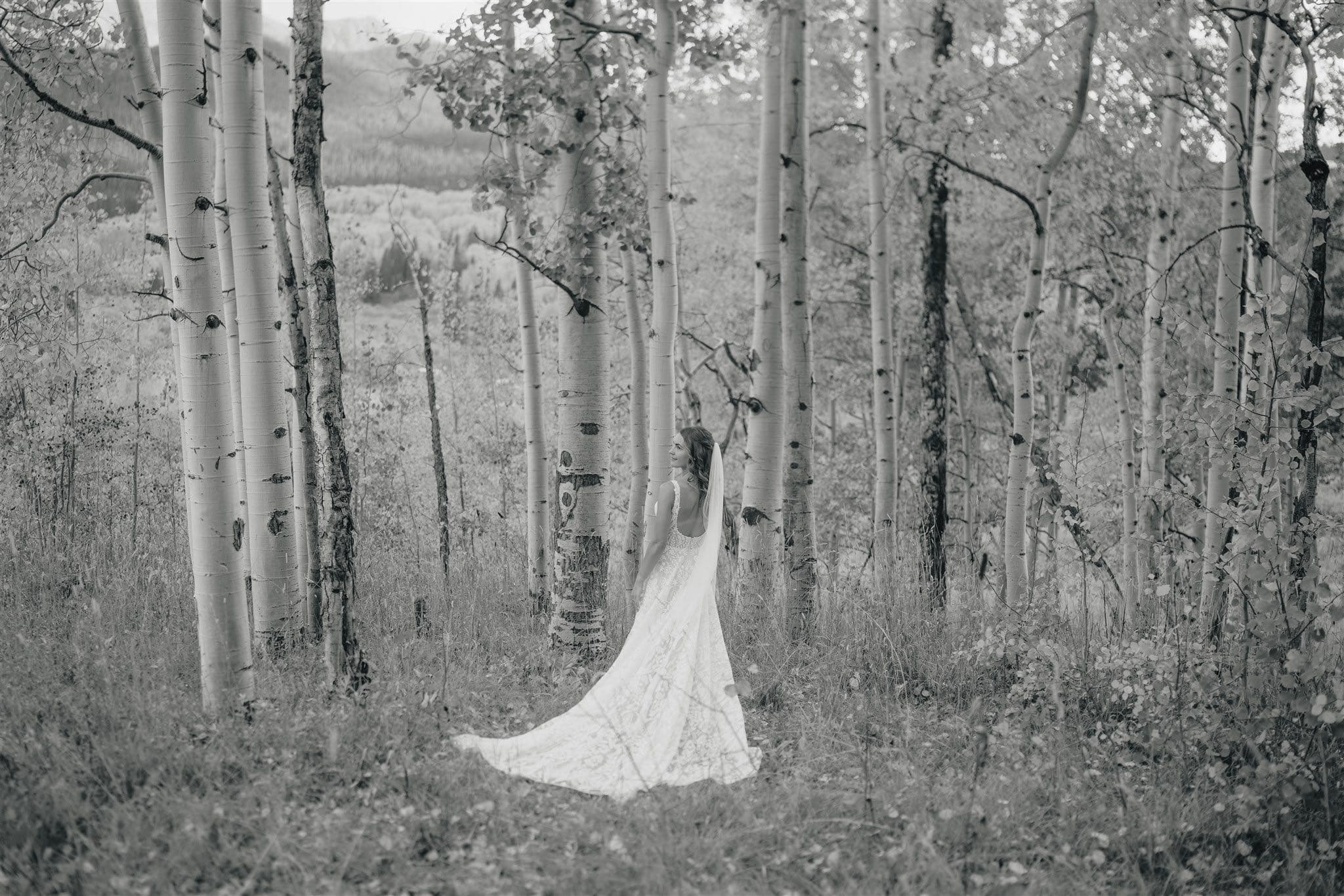 One Hour Elopement 