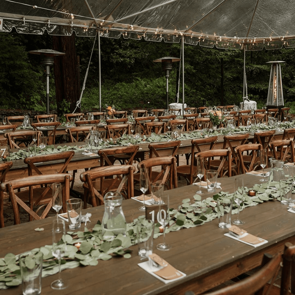 Alexis Party Rentals