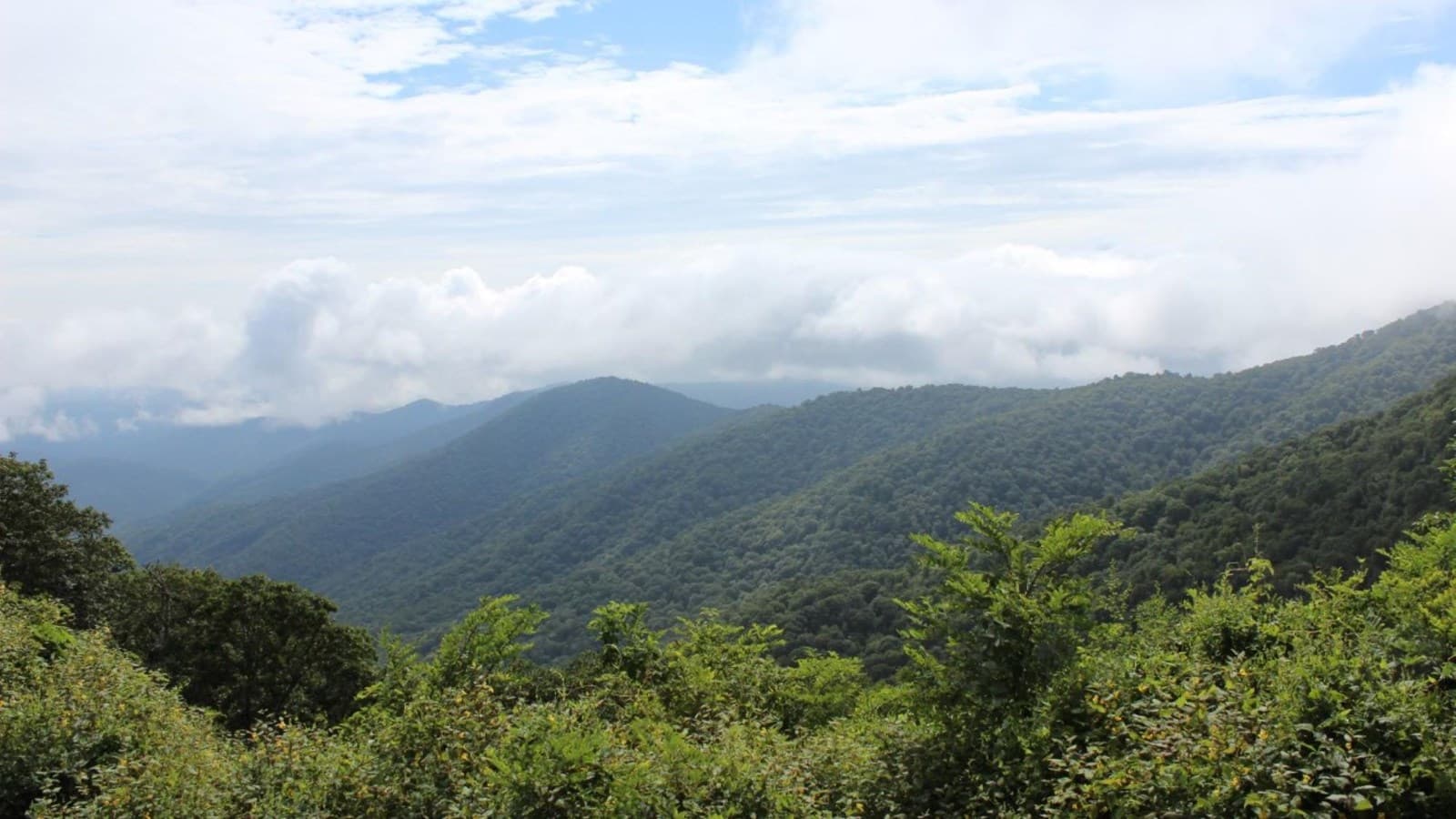 Buck Spring Gap Overlook (Milepost 407.6)
