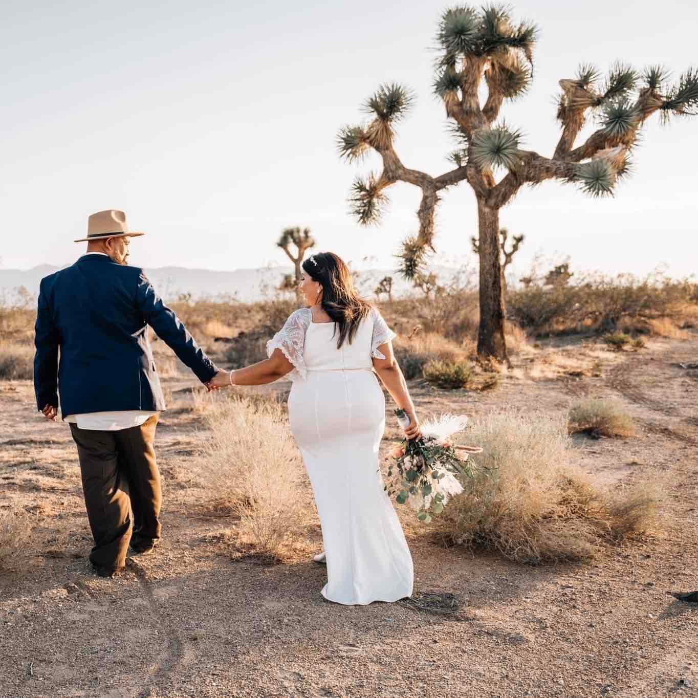 The Wild+Creative Package