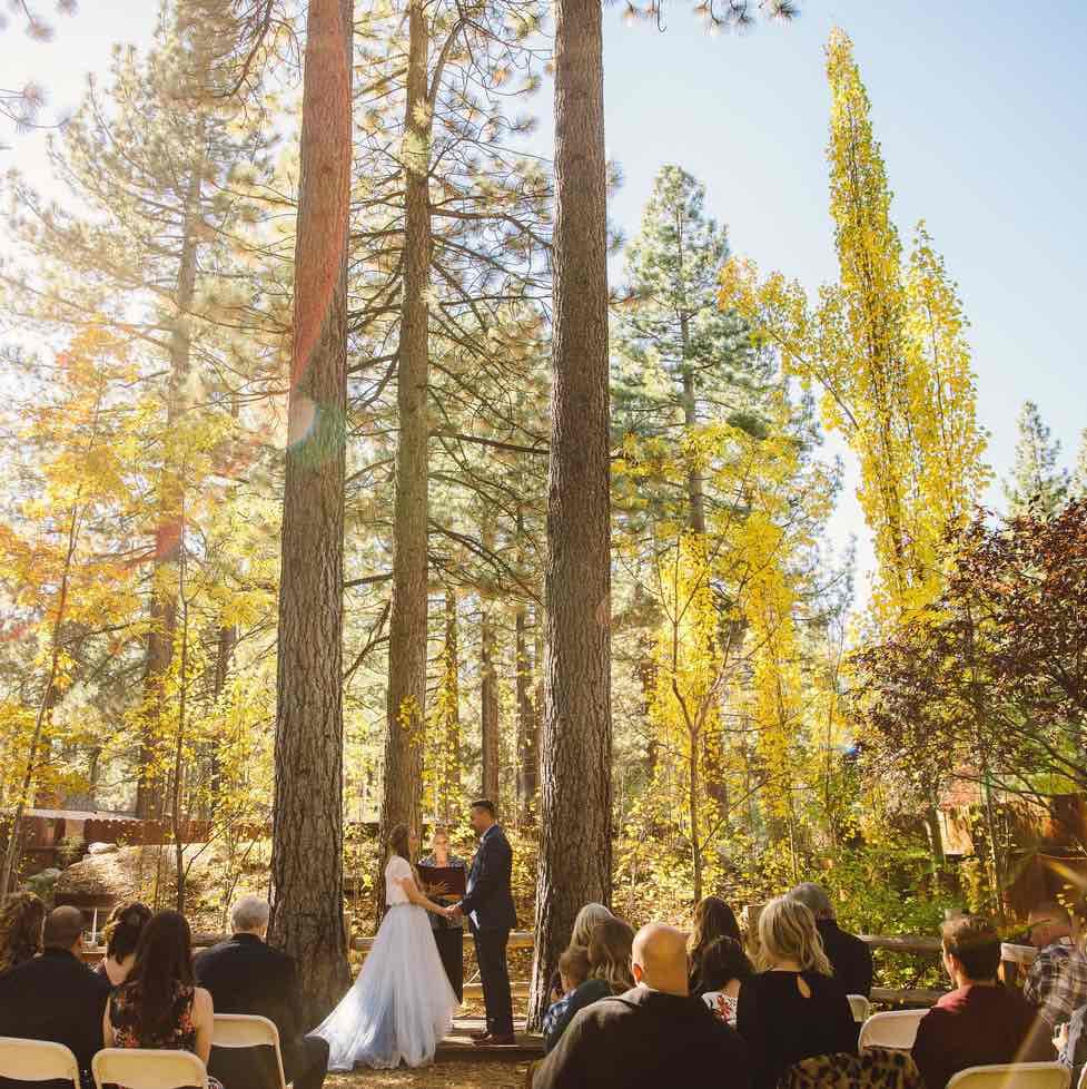 Revive Coffee and Wine