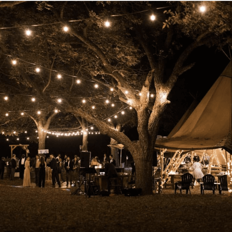 Elm Pass Woods - Wedding Festival and Event Venue portfolio 3