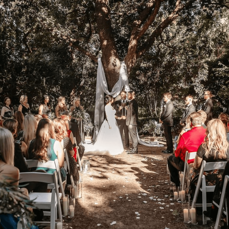 Weddding | Holiday