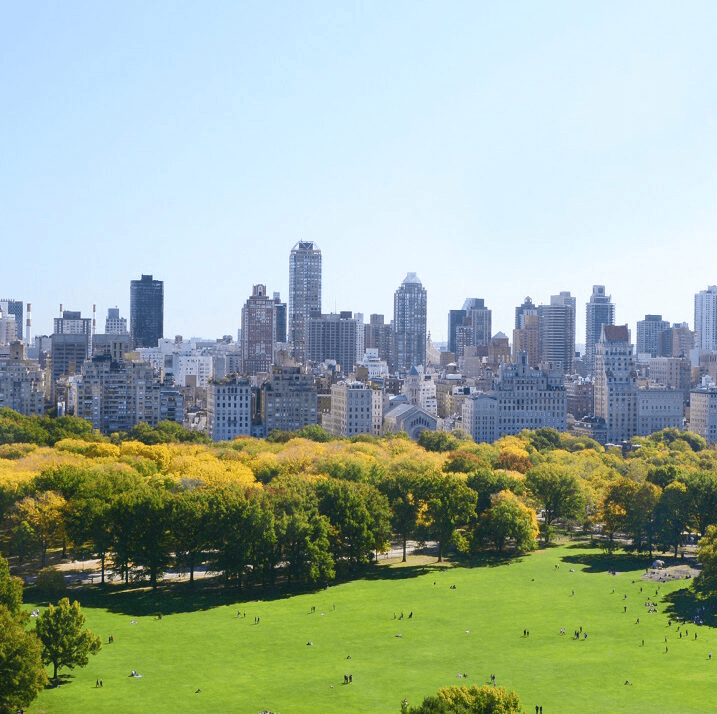 Central Park Elopement  2