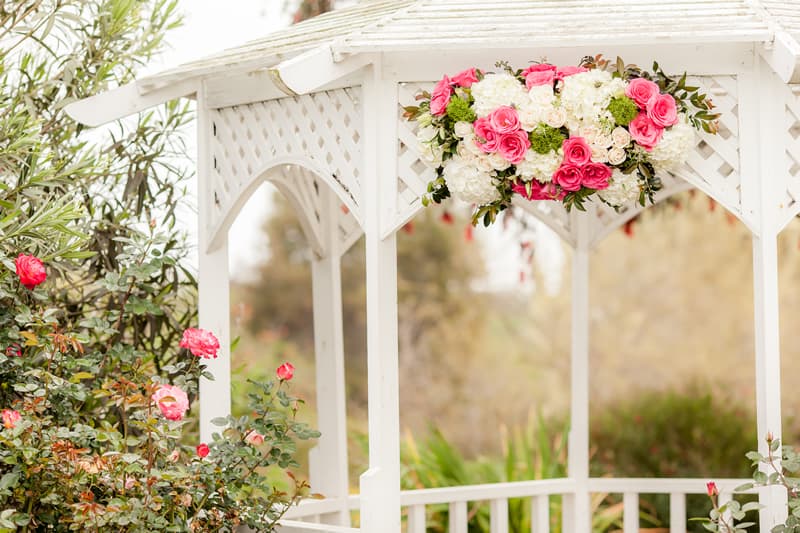 South Coast Botanic Garden portfolio 2