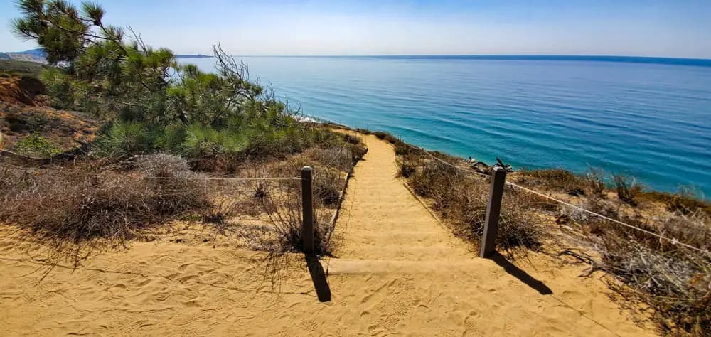 Torrey Pines State Natural Reserve — Guy Fleming Overlooks