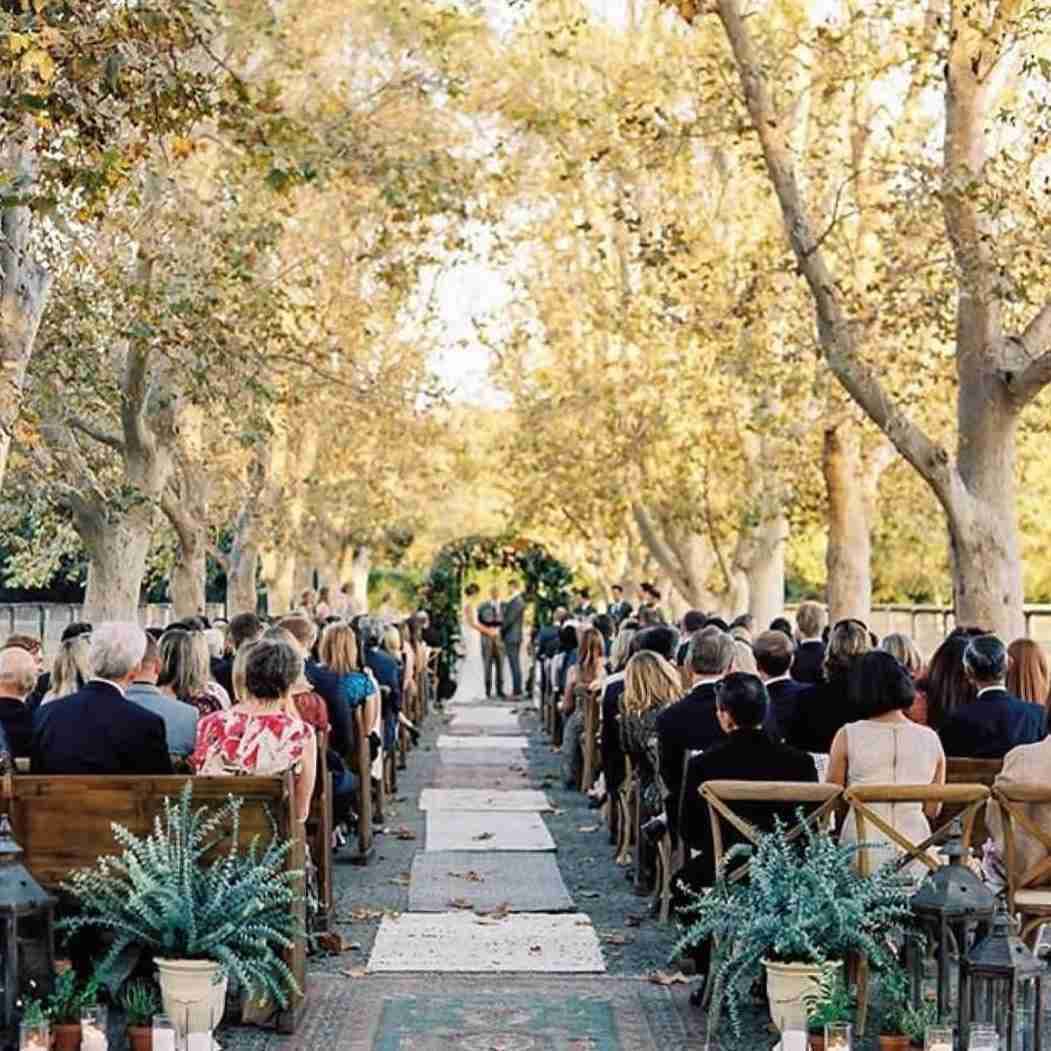 131- 200 guests