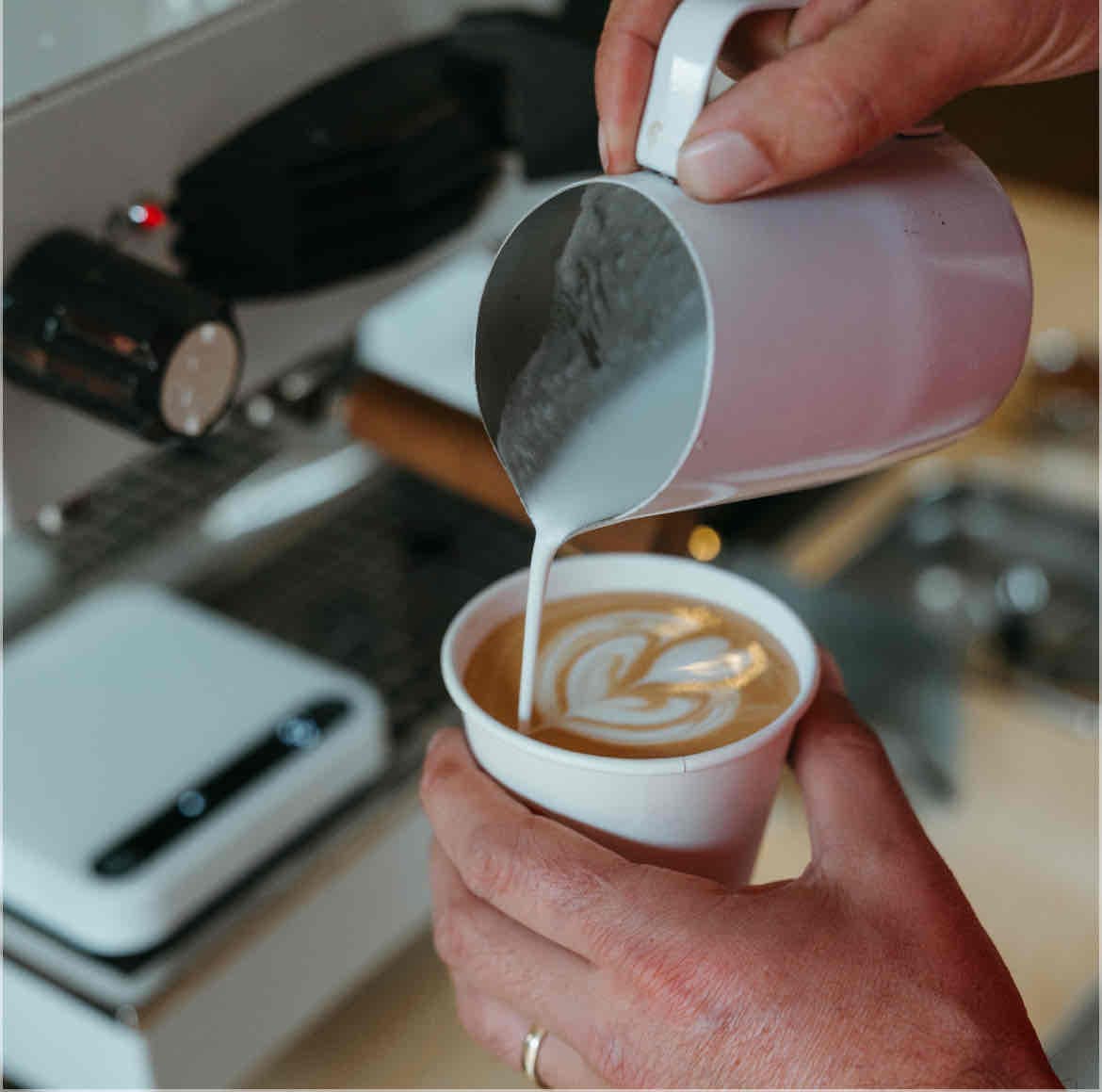 True Love Coffee Co.