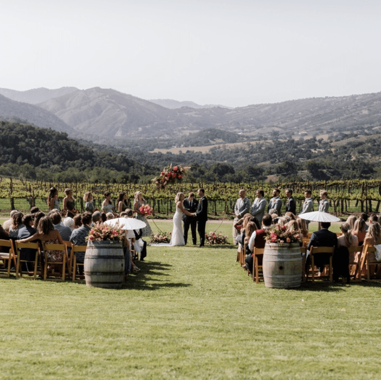 Joullian Vineyards portfolio 4