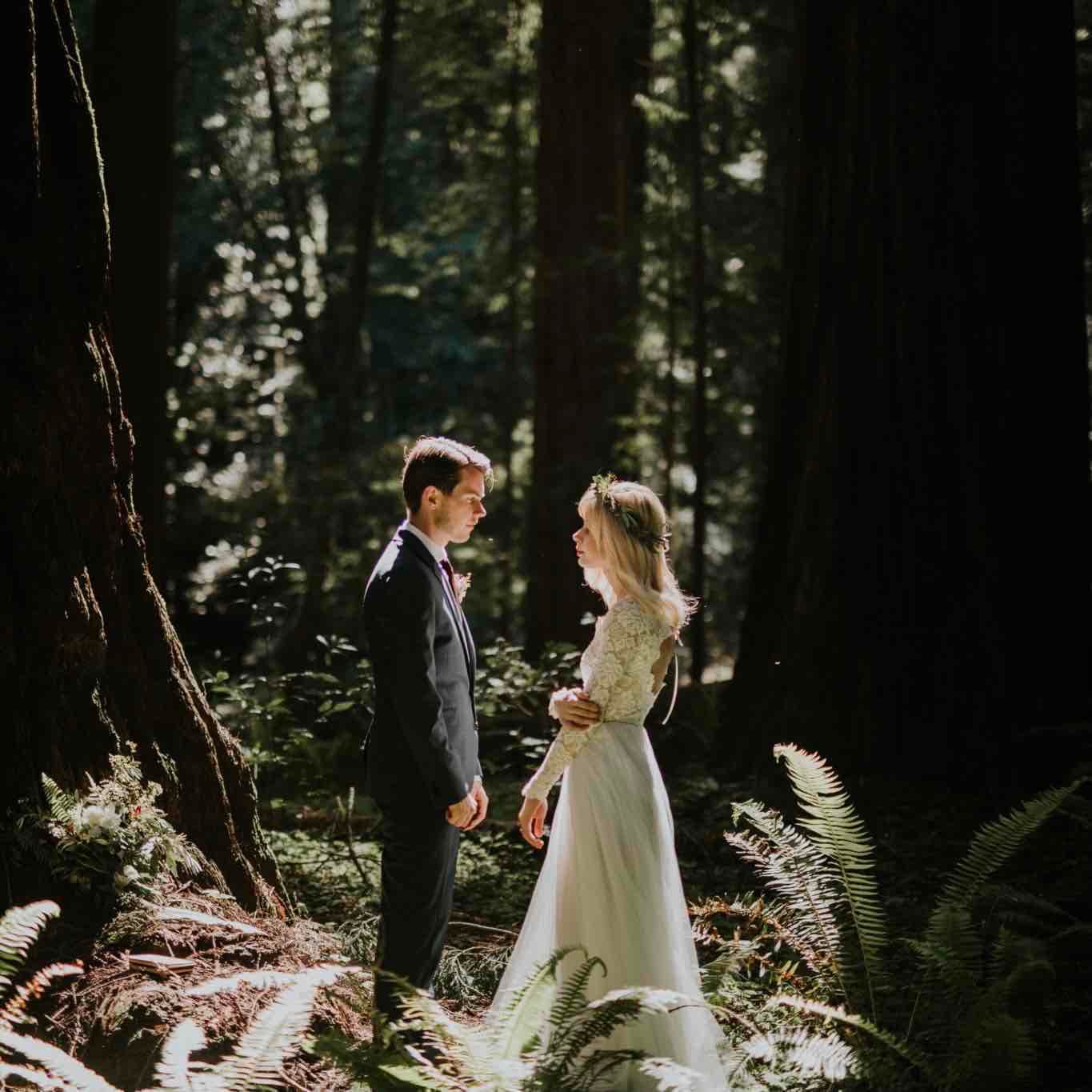 Redwoods Forest Elopement 2