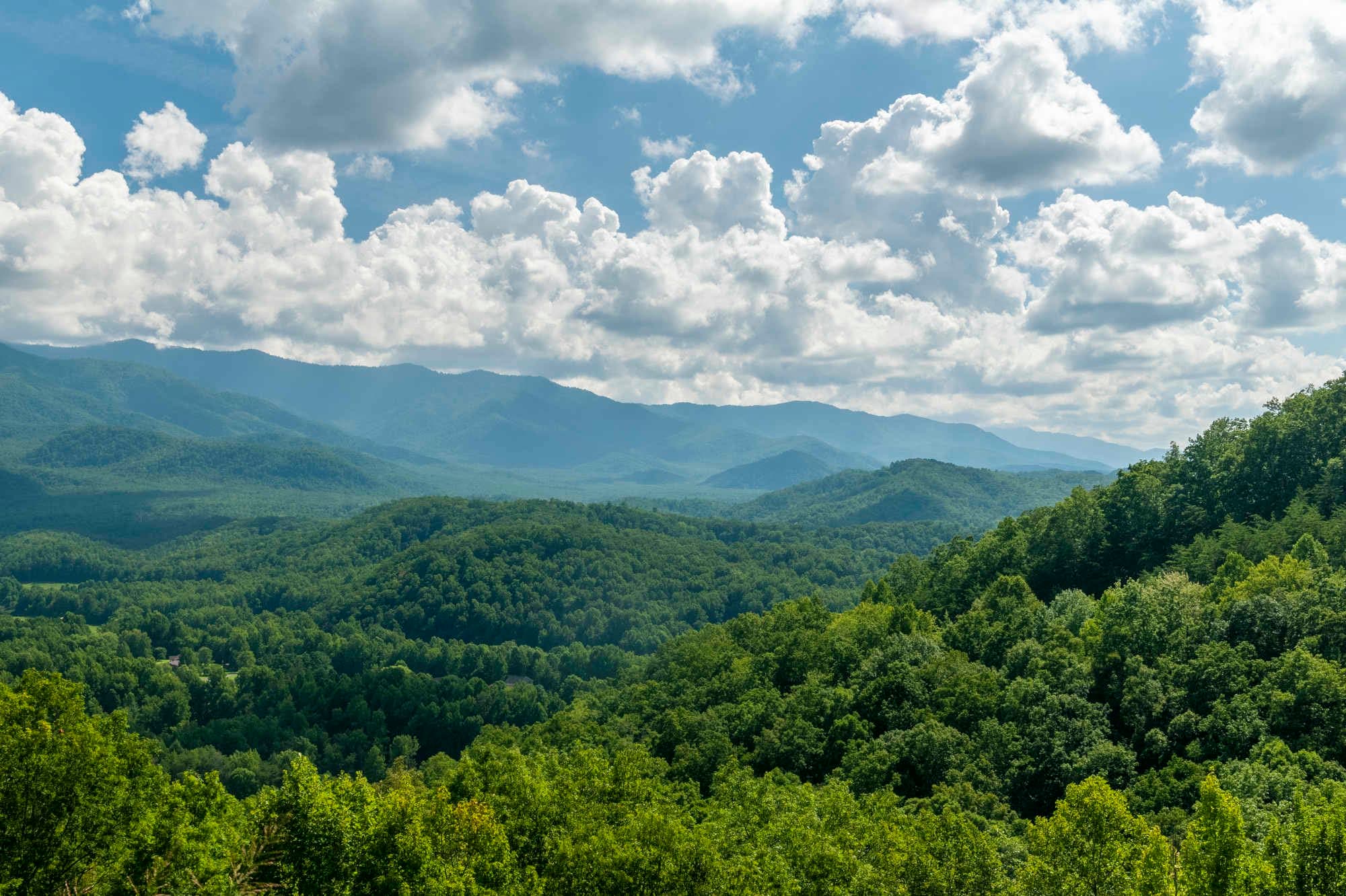 Foothills Parkway — West Overlooks