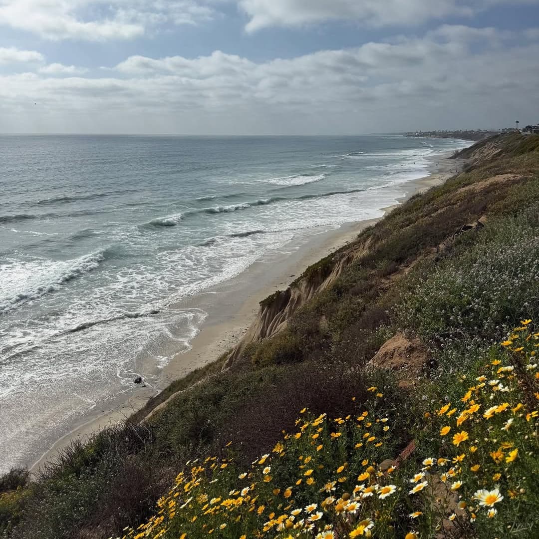 The Beachcomber Cafe portfolio 4