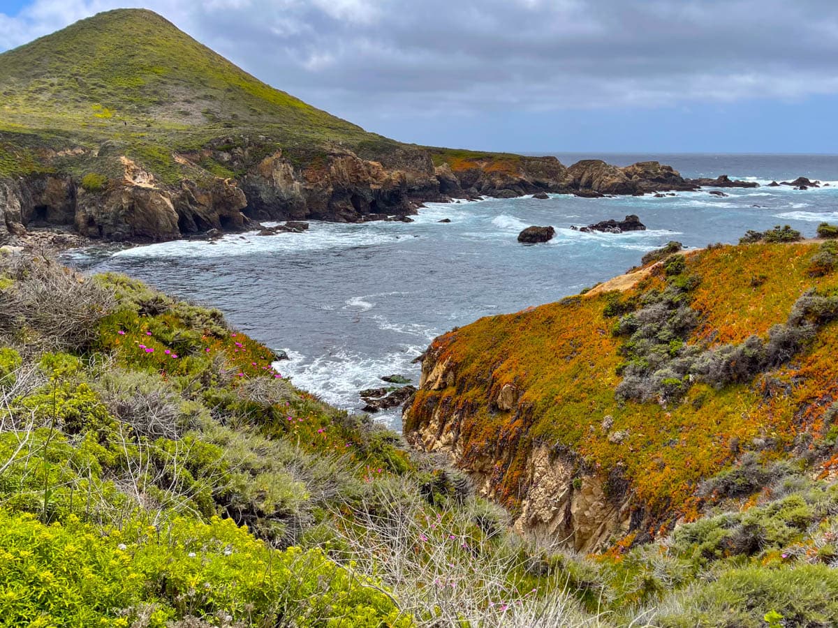 Garrapata State Park — Soberanes Point Trail
