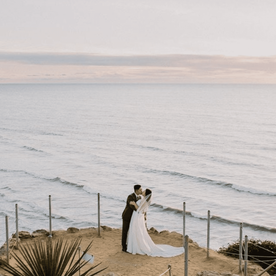 Let's Frolic Together