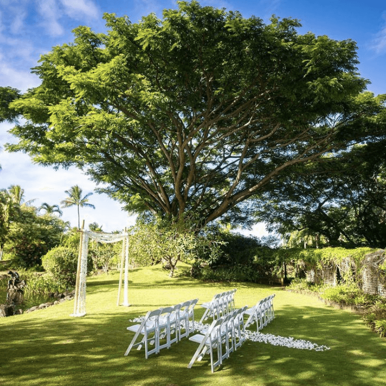 Na Aina Kai Botanical Garden & Sculpture Park portfolio 3