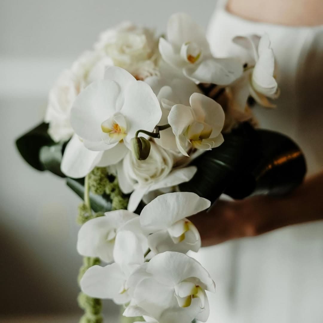 Florencia Saav Photography portfolio 4