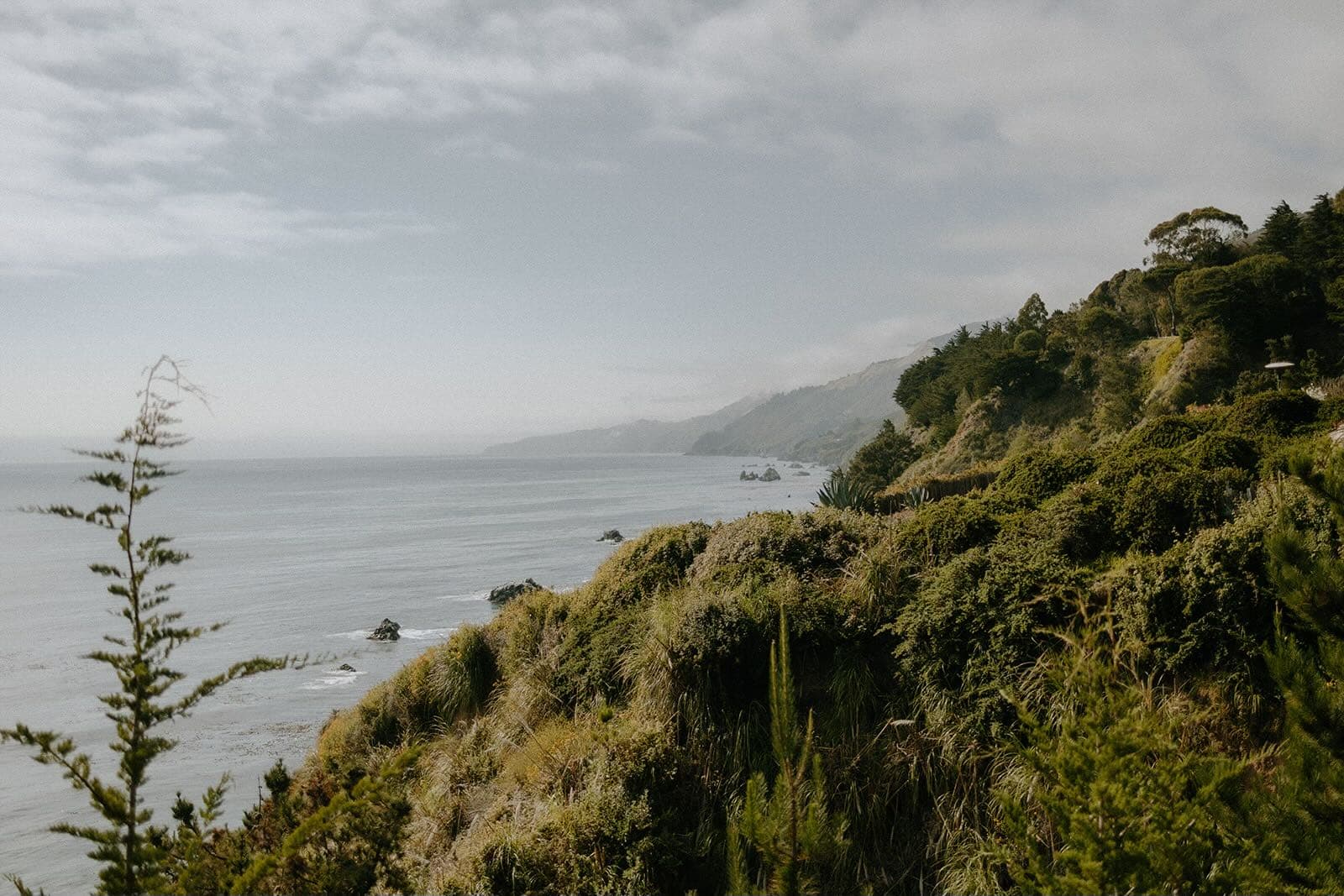 Anne-Marie & Tyler’s Big Sur Wedding✨ portfolio 13