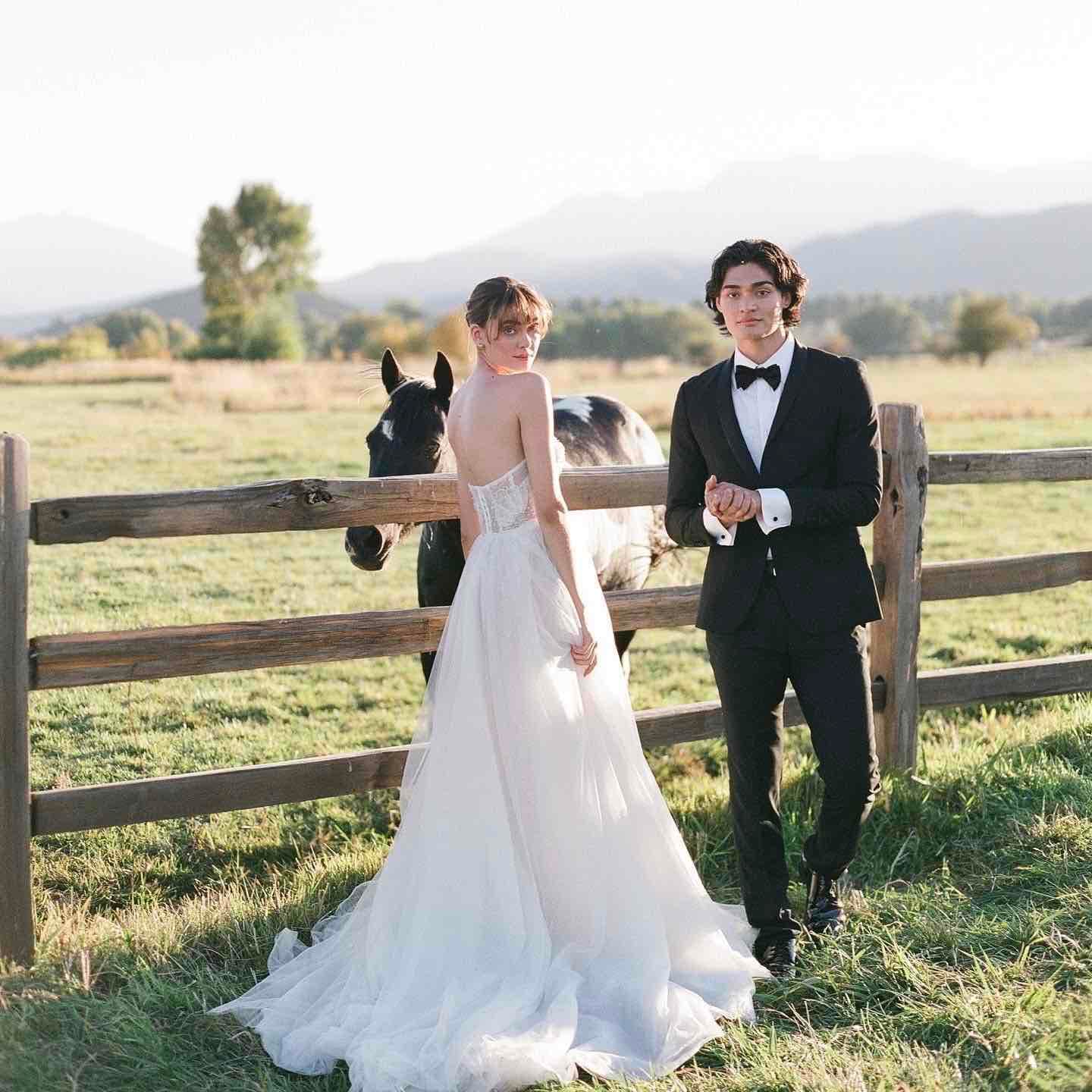 Andrea Stark Photography  portfolio 2