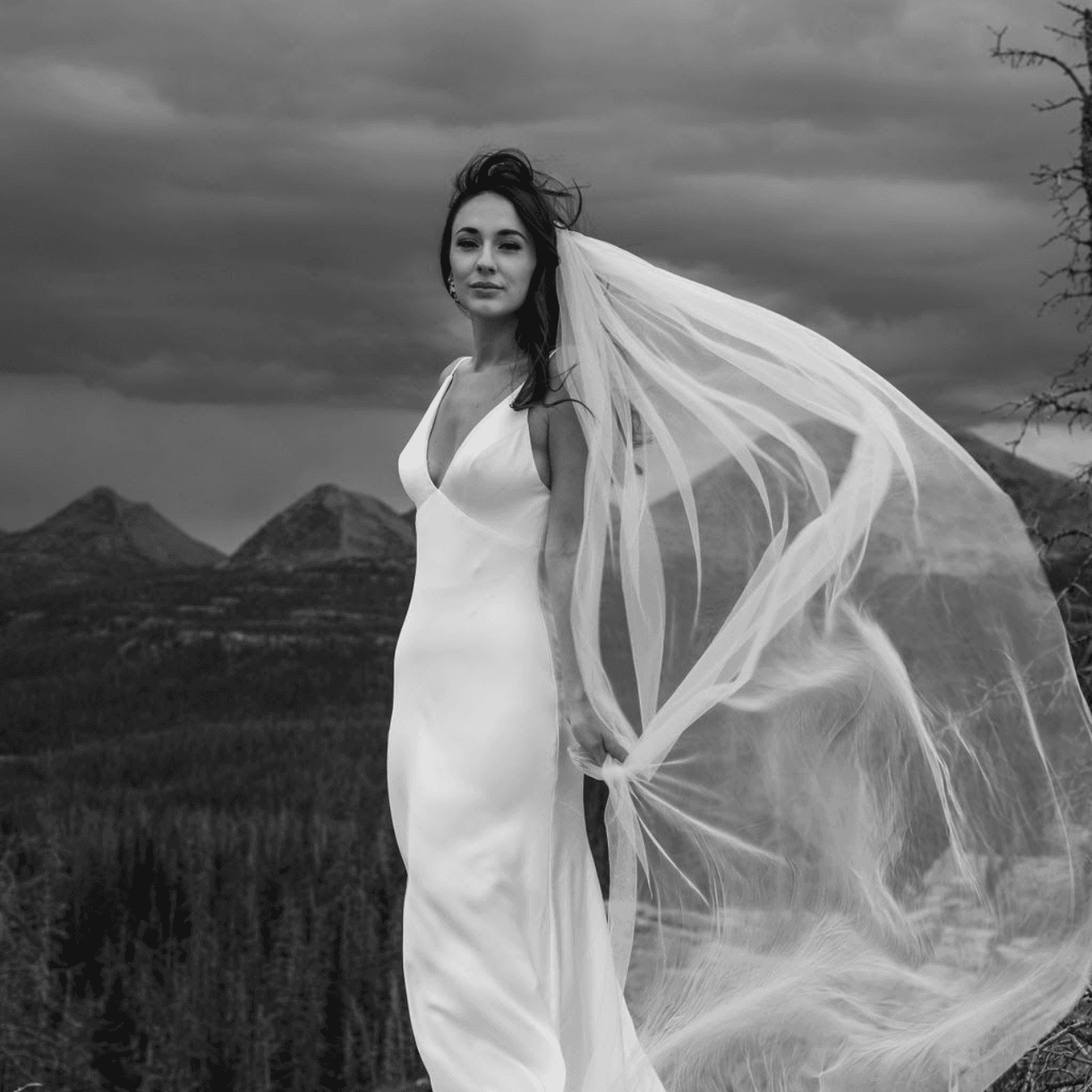 Wilde Moon Imagery portfolio 2