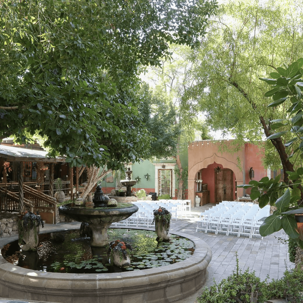 Boojum Tree Hidden Gardens 2