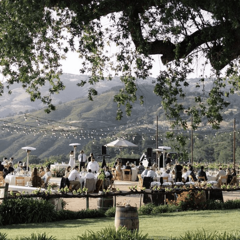 Joullian Vineyards portfolio 2