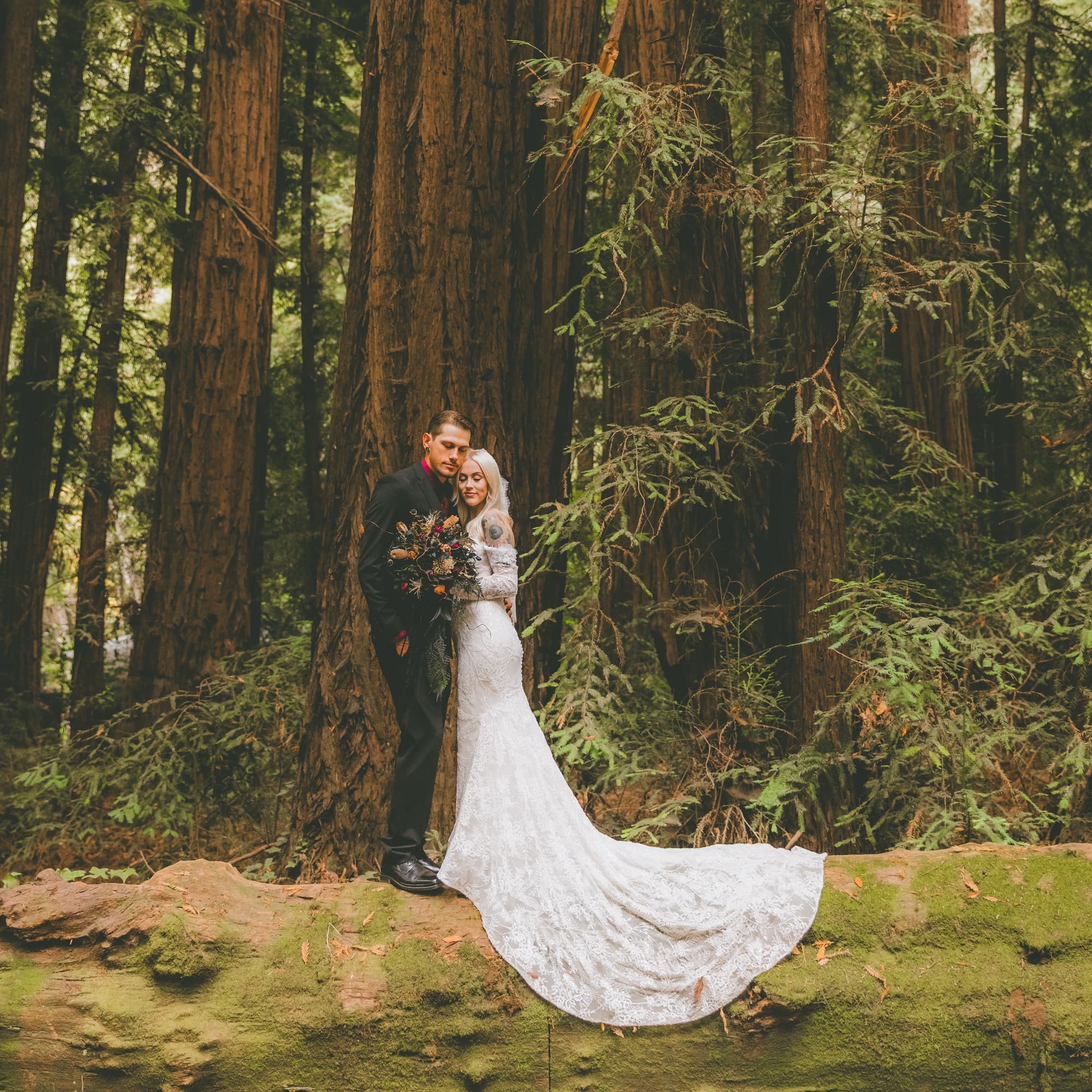 Seeking Venture Photo 