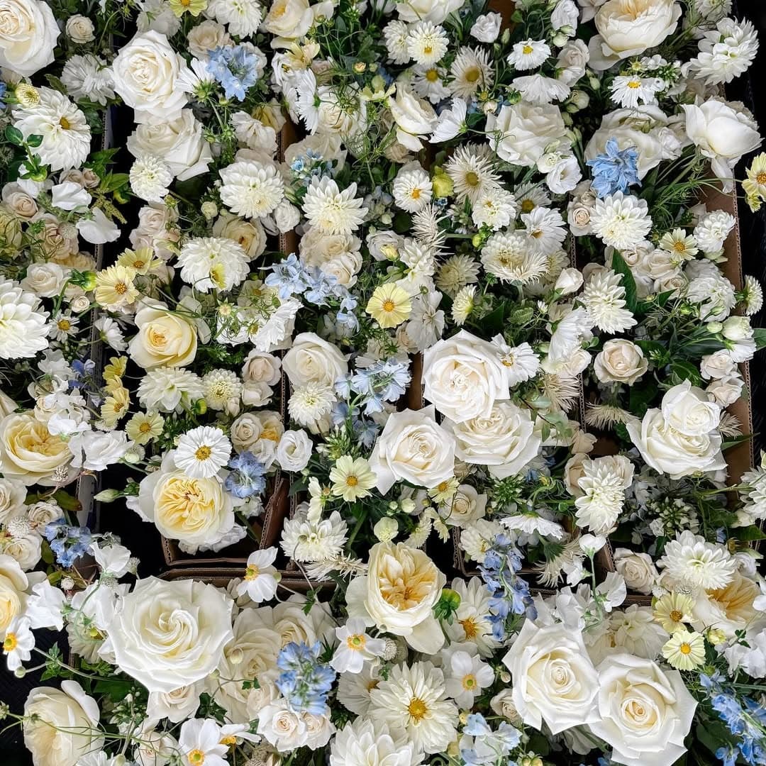 Blushing Fields Flower Farm